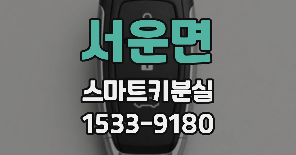 서운면 스마트키분실