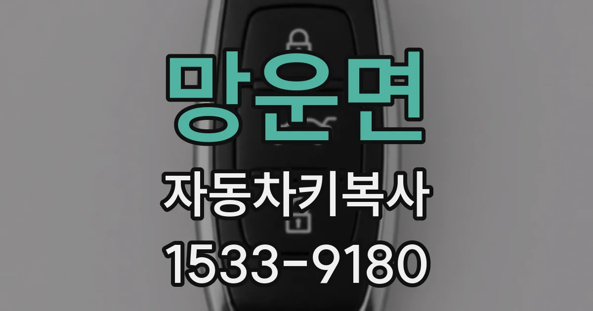 망운면 자동차키복사