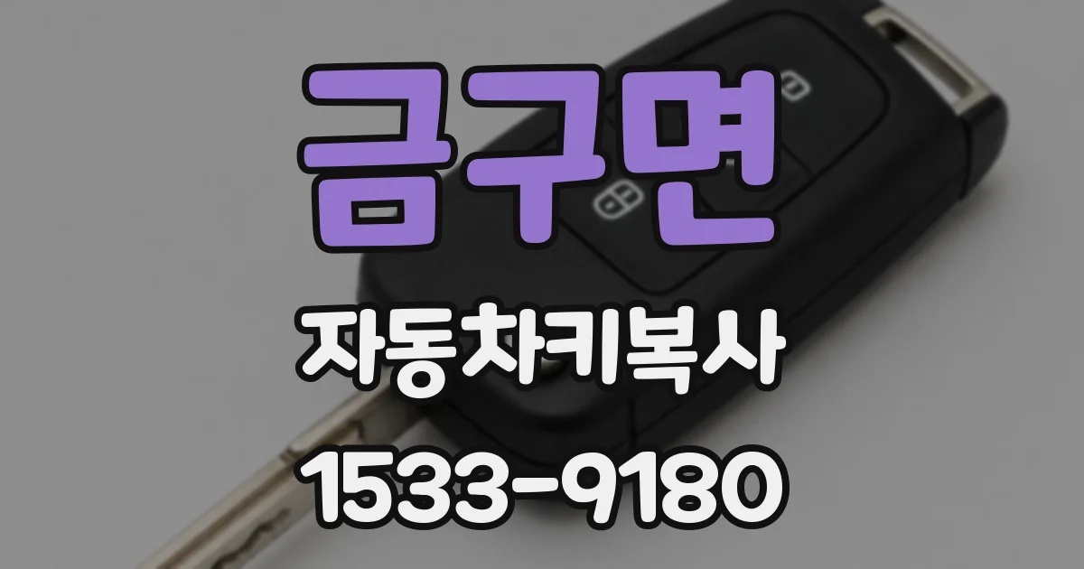 금구면 자동차키복사