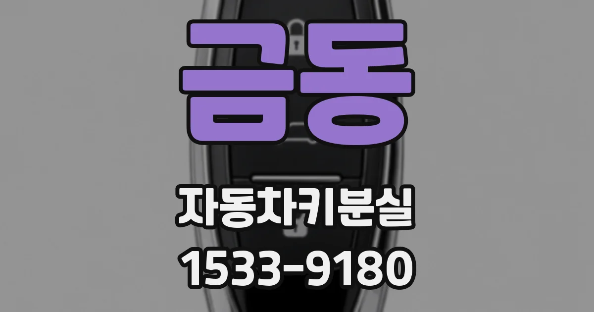 금동 자동차키분실