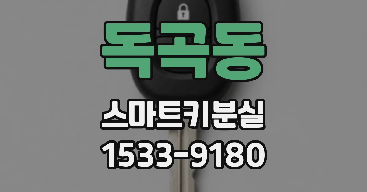독곡동 스마트키분실