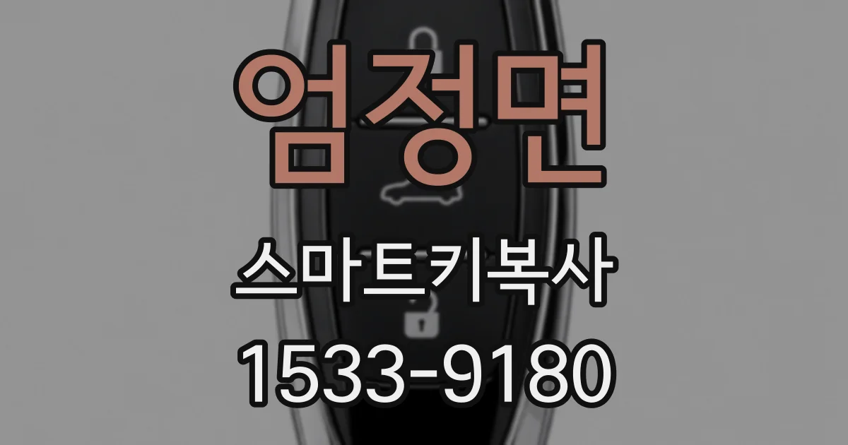 엄정면 스마트키복사