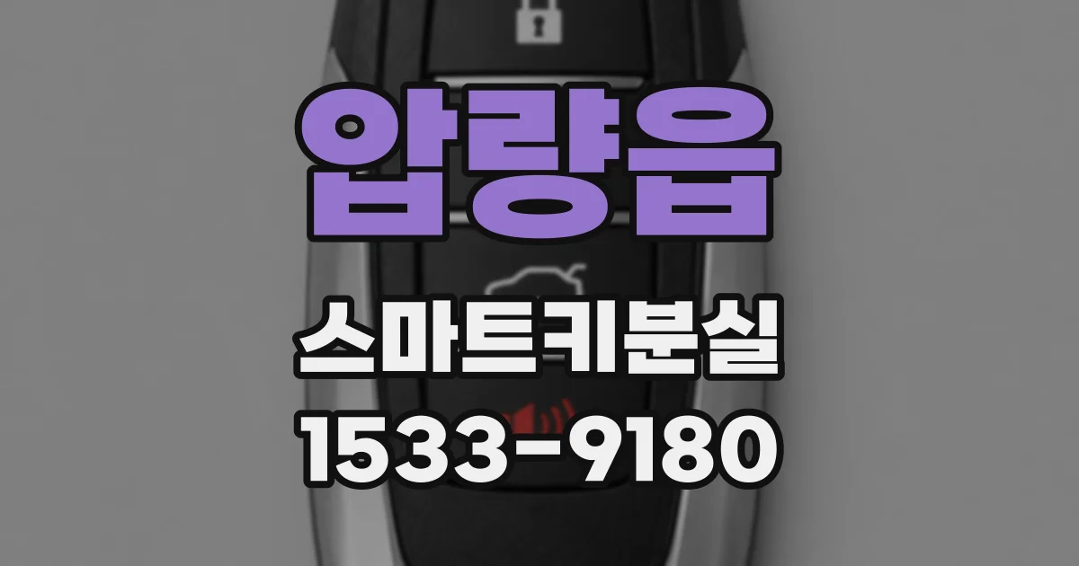 압량읍 스마트키분실