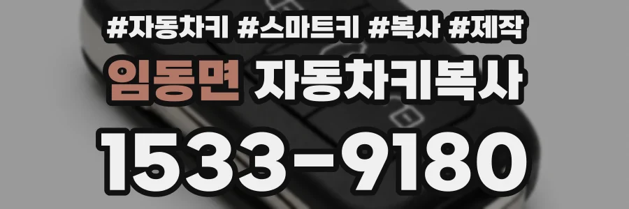임동면 자동차키복사