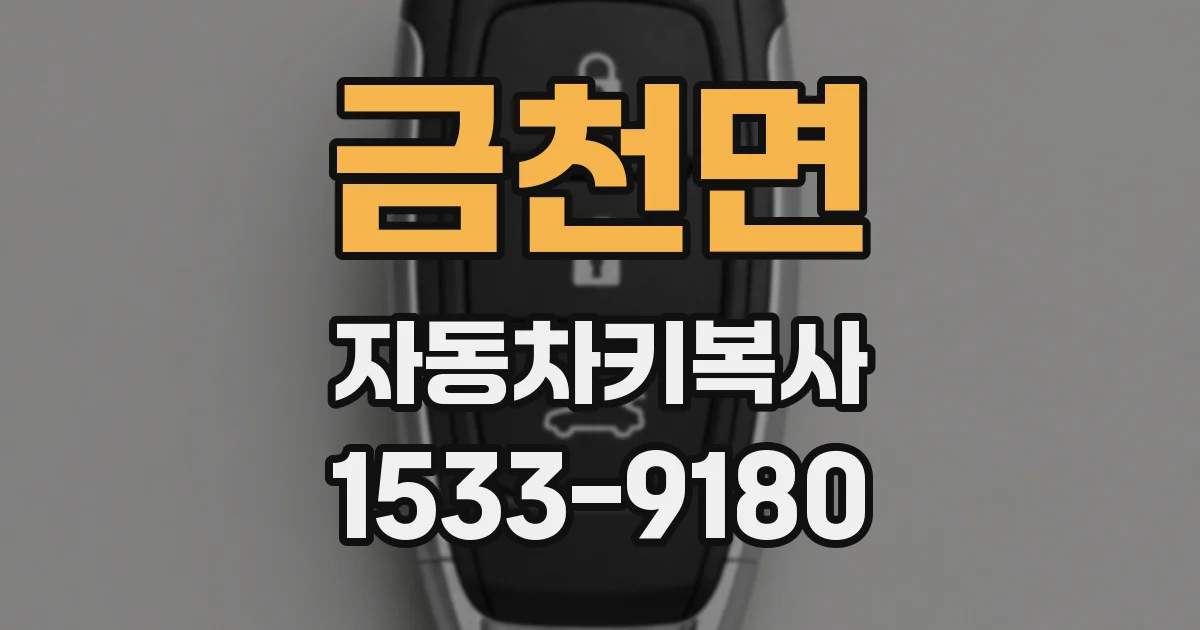 금천면 자동차키복사