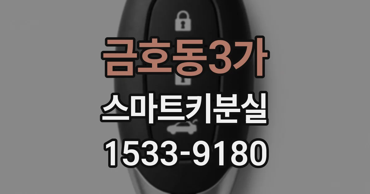 금호동3가 스마트키분실
