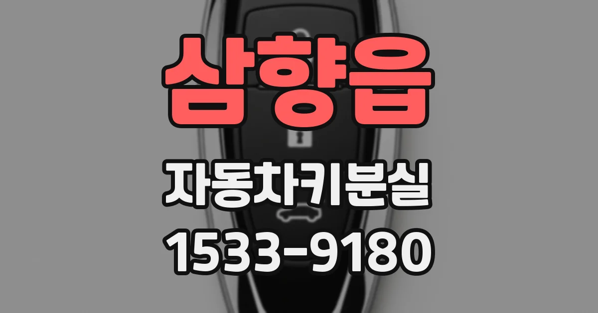 삼향읍 자동차키분실