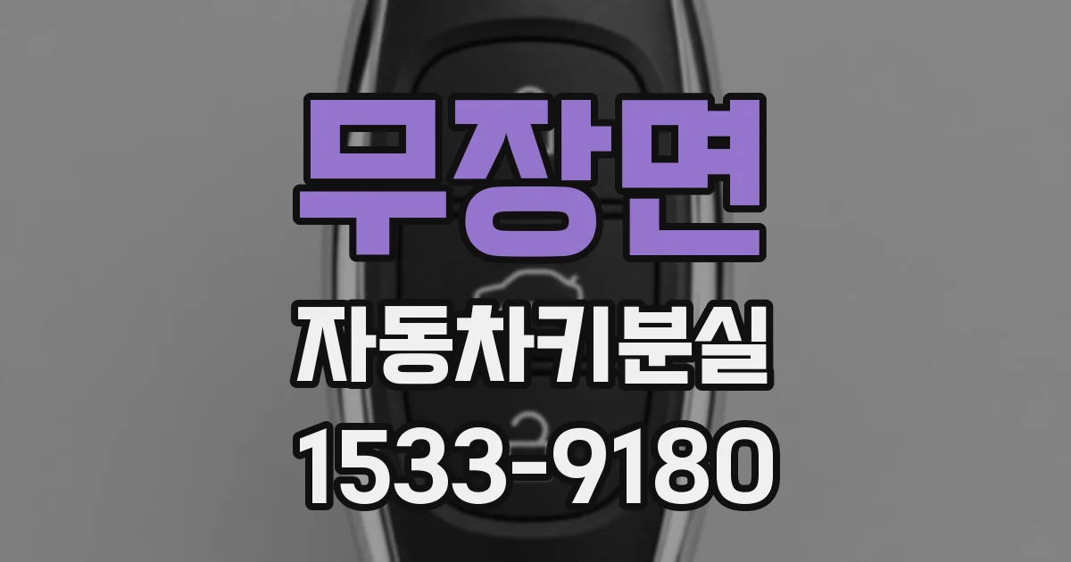 무장면 자동차키분실