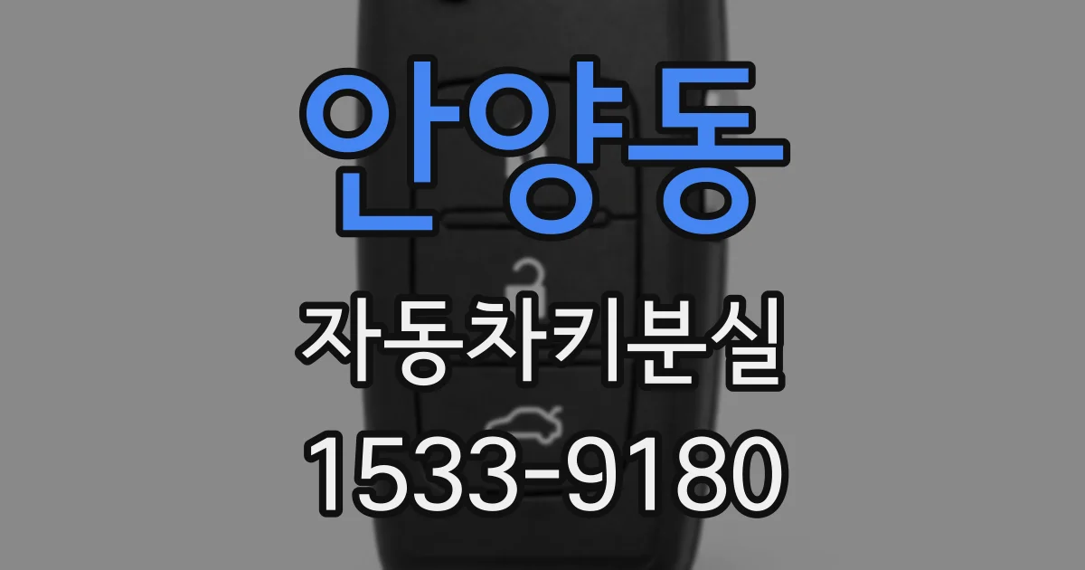 안양동 자동차키분실