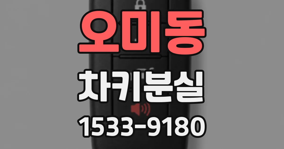 오미동 차키분실
