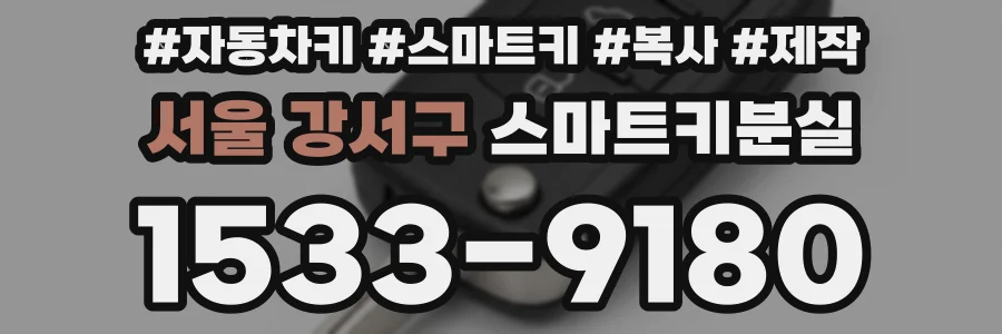 서울 강서구 스마트키분실