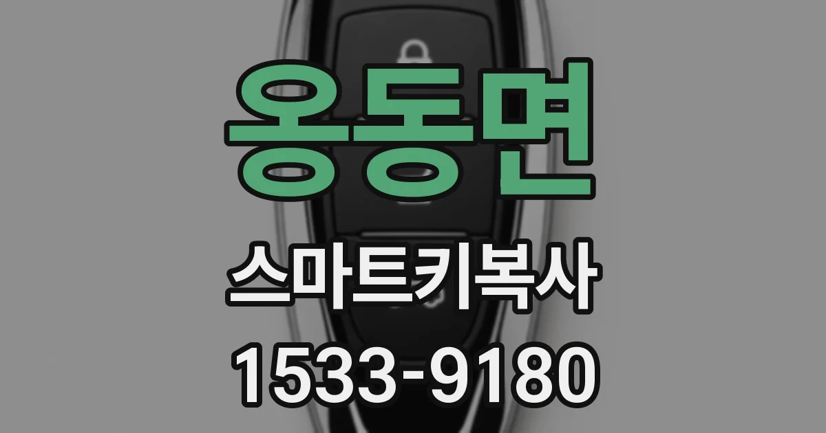 옹동면 스마트키복사