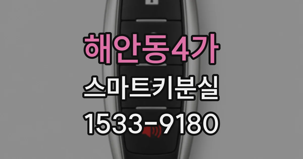 해안동4가 스마트키분실