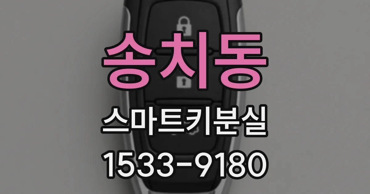 송치동 스마트키분실