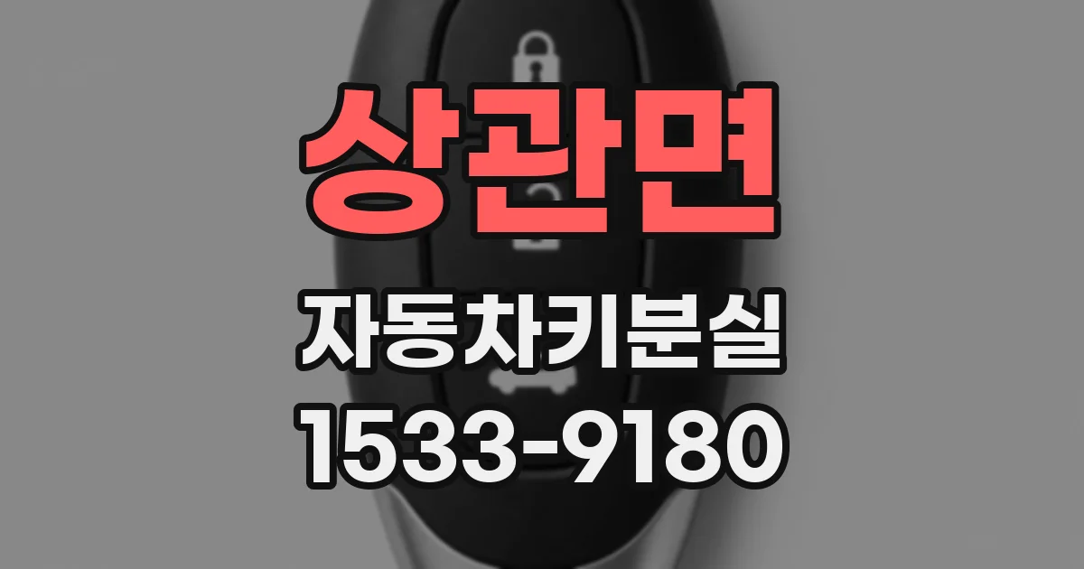상관면 자동차키분실