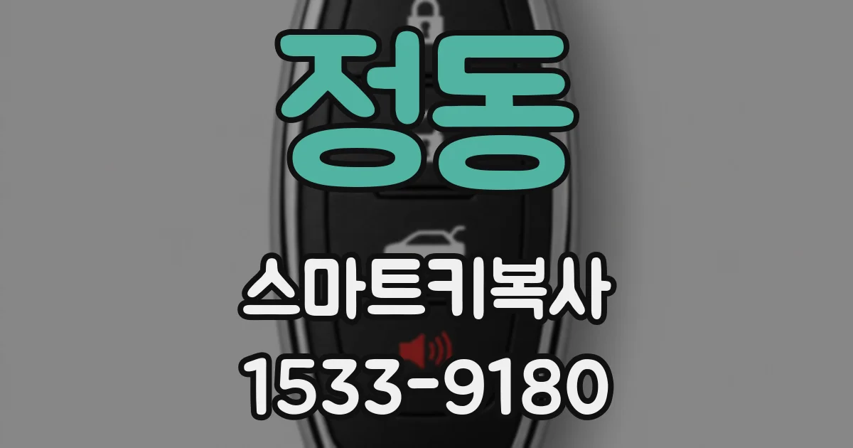 정동 스마트키복사