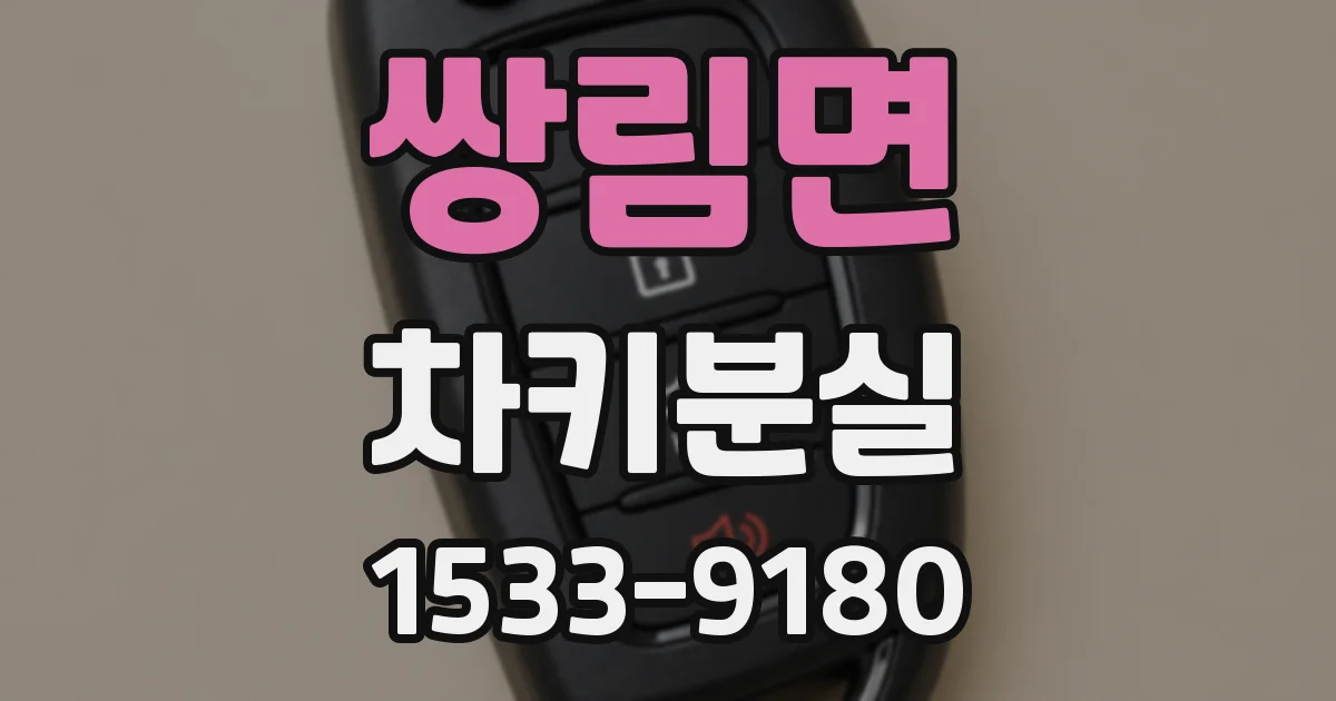 쌍림면 차키분실