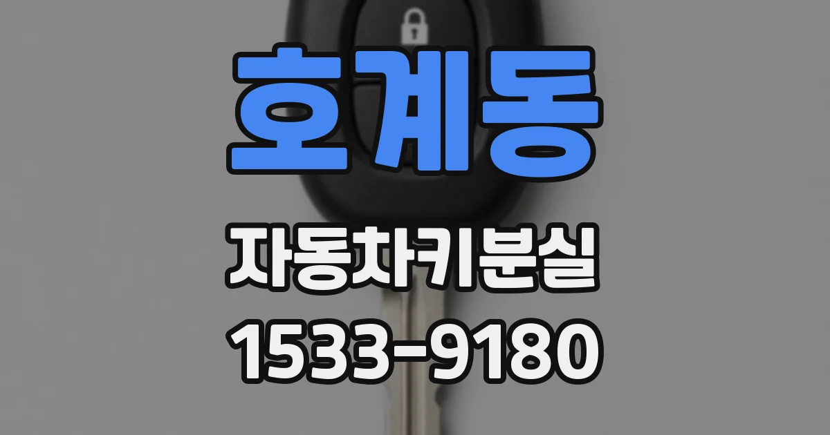 호계동 자동차키분실