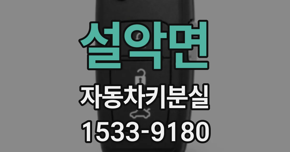 설악면 자동차키분실