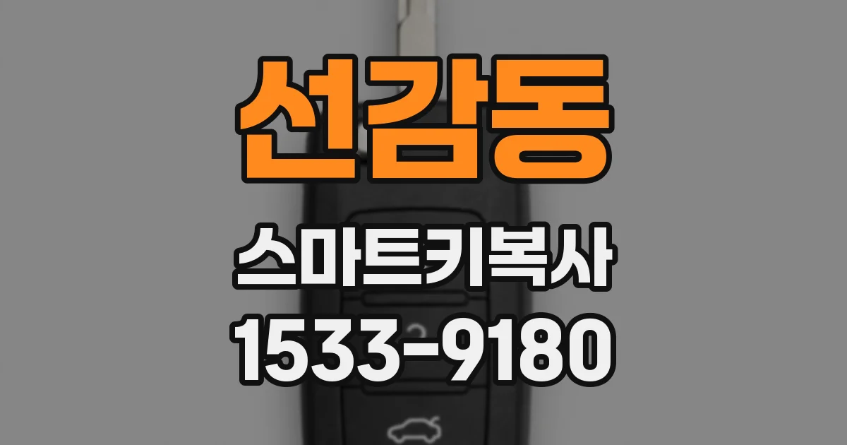 선감동 스마트키복사