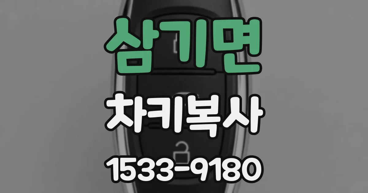 삼기면 차키복사