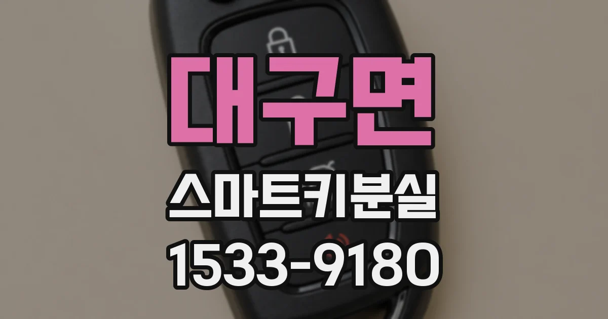 대구면 스마트키분실
