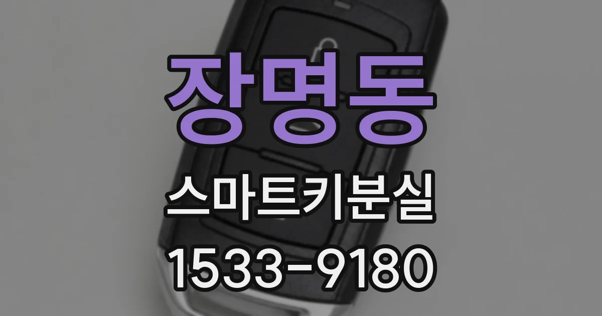 장명동 스마트키분실