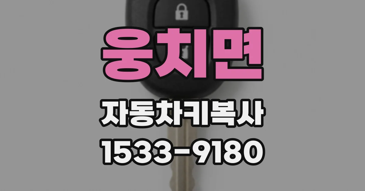 웅치면 자동차키복사