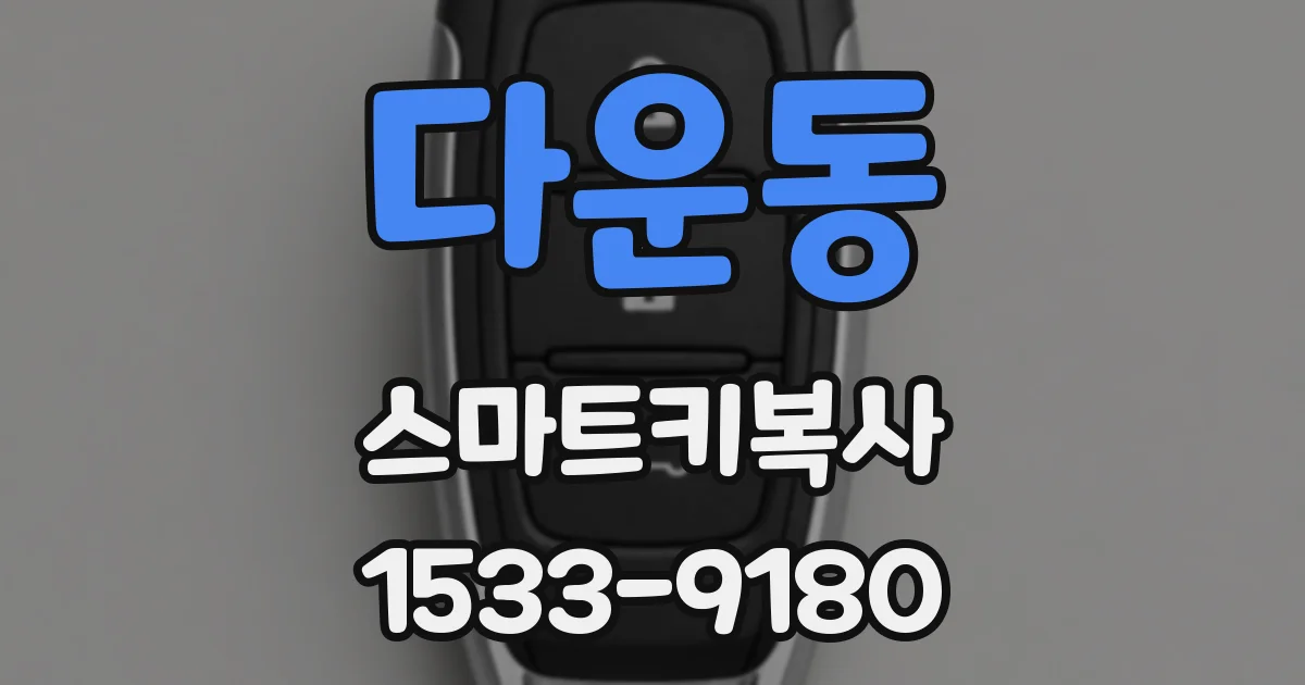 다운동 스마트키복사