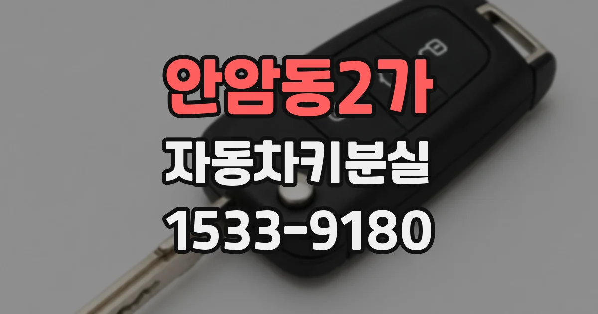 안암동2가 자동차키분실