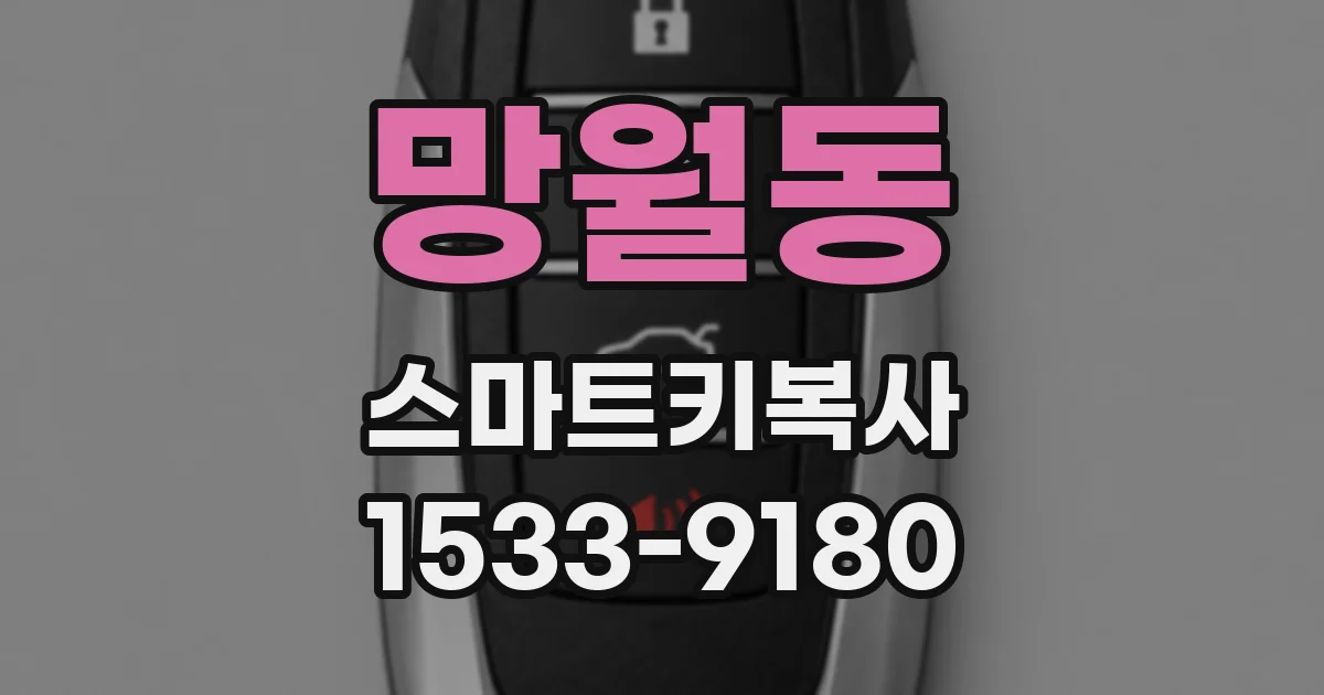 망월동 스마트키복사