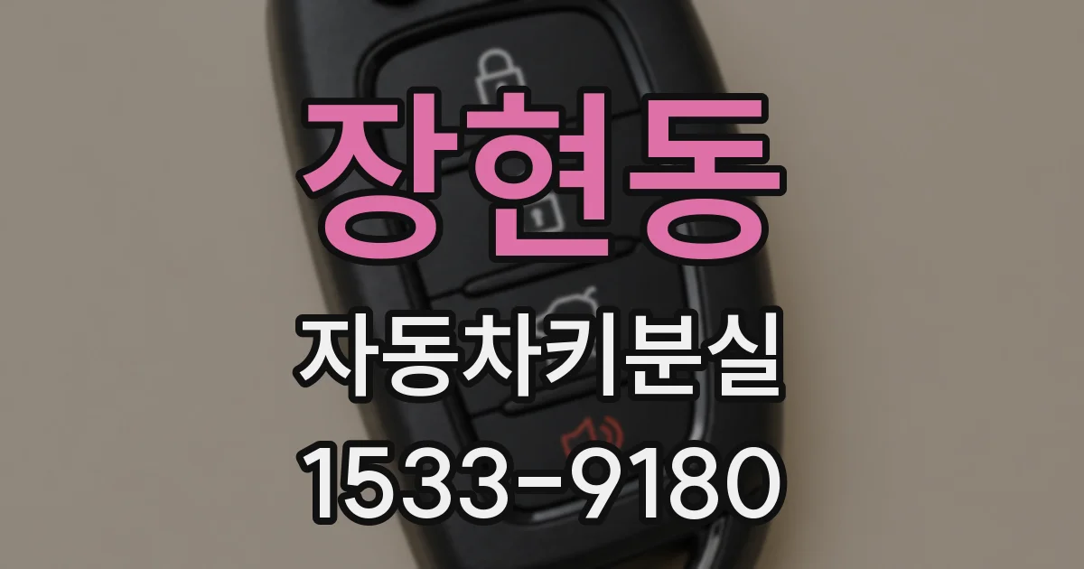 장현동 자동차키분실