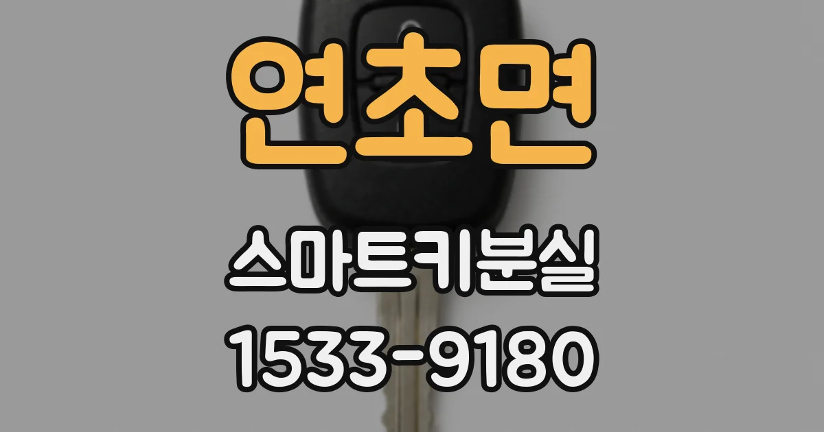 연초면 스마트키분실
