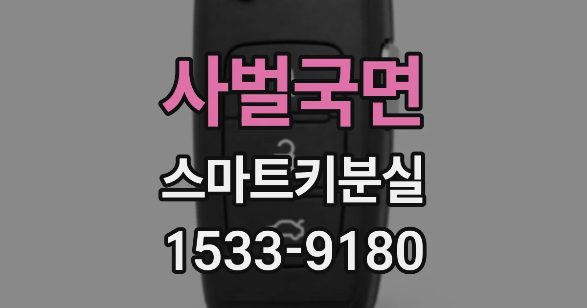 사벌국면 스마트키분실