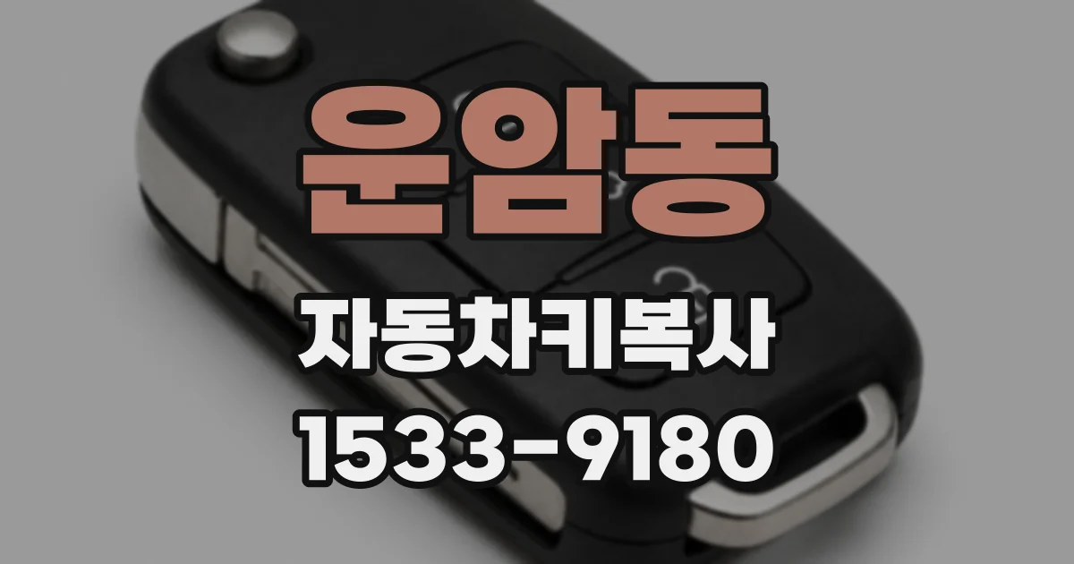 운암동 자동차키복사