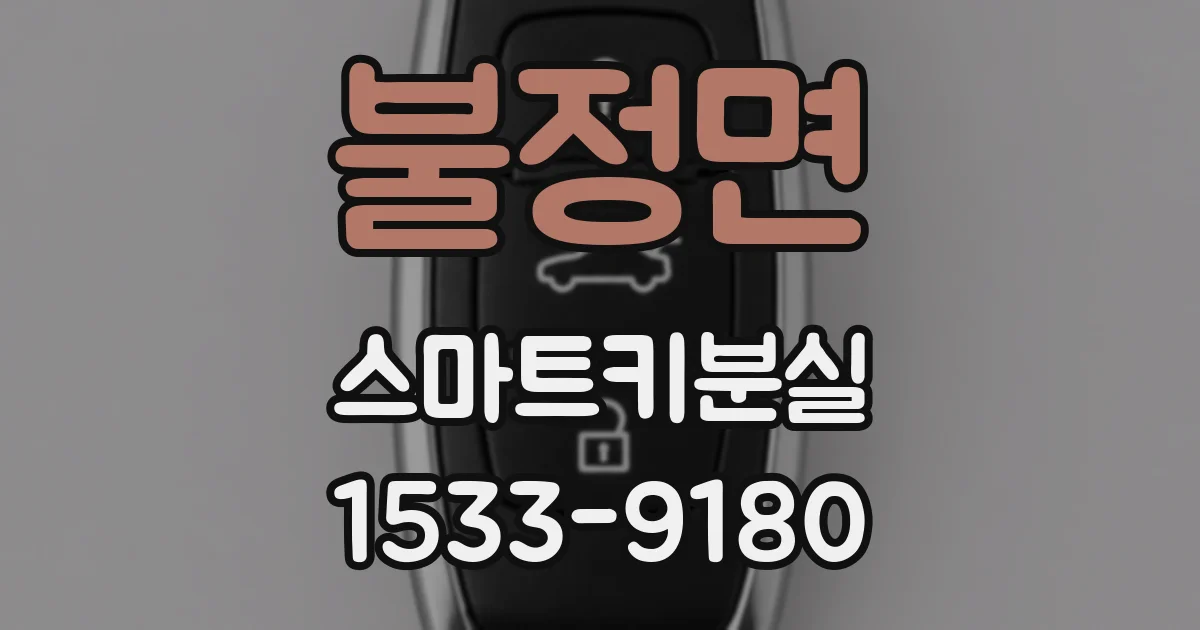 불정면 스마트키분실