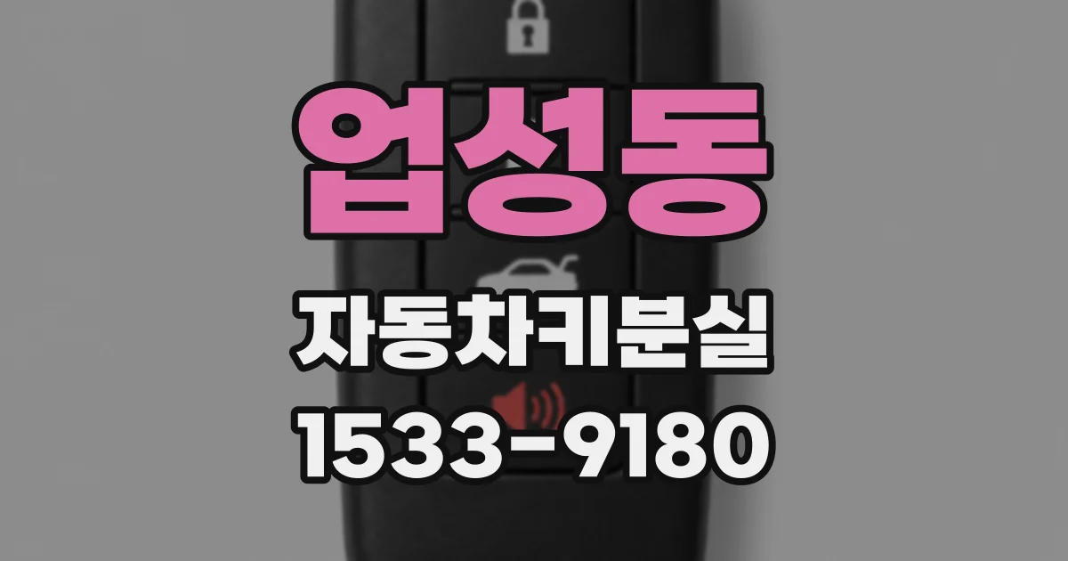 업성동 자동차키분실