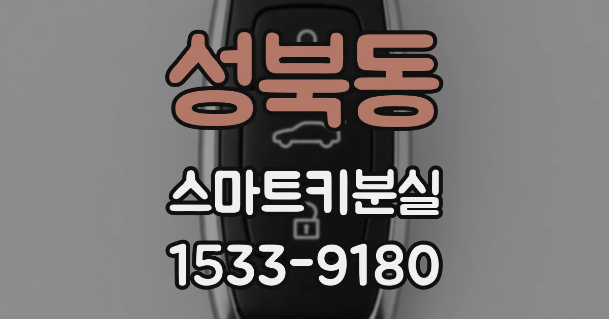 성북동 스마트키분실