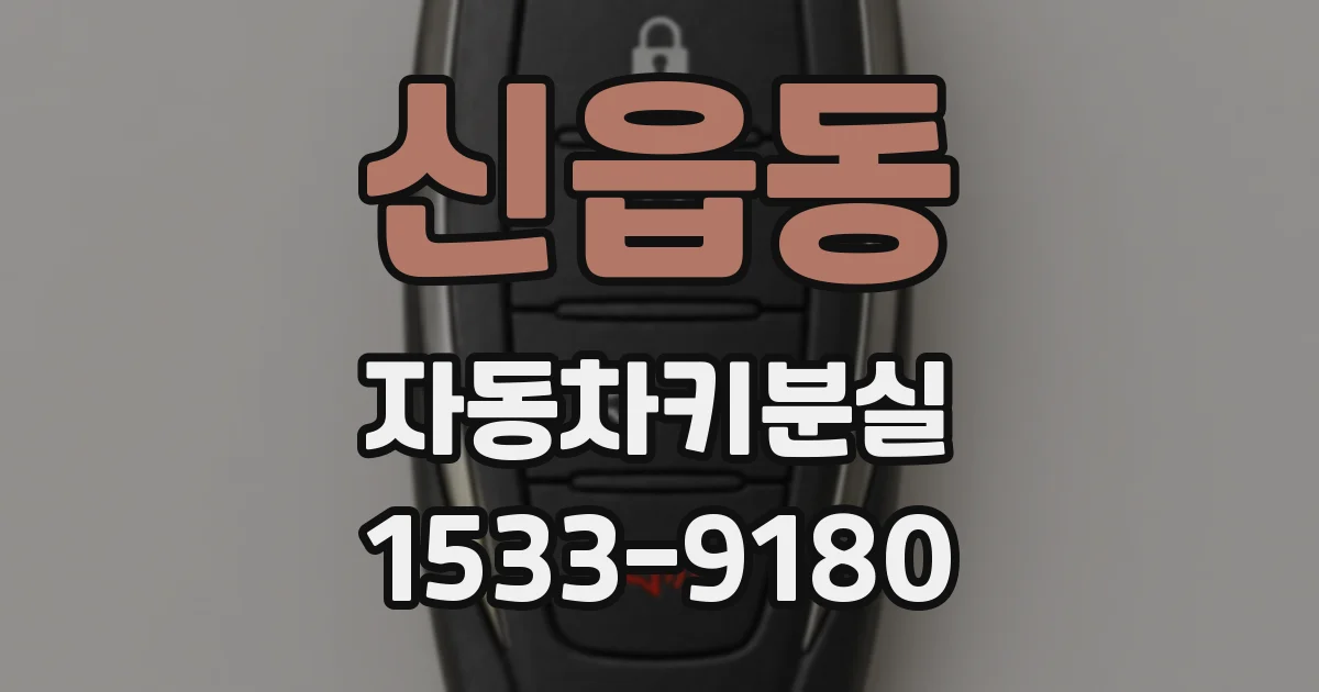 신읍동 자동차키분실
