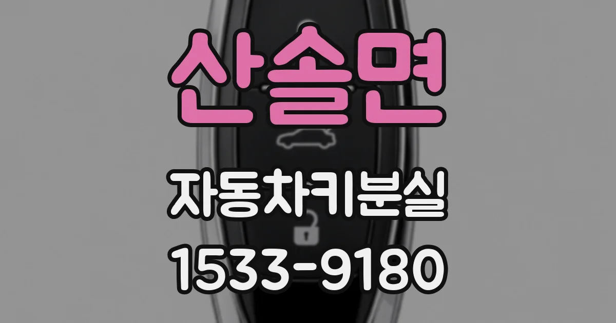 산솔면 자동차키분실
