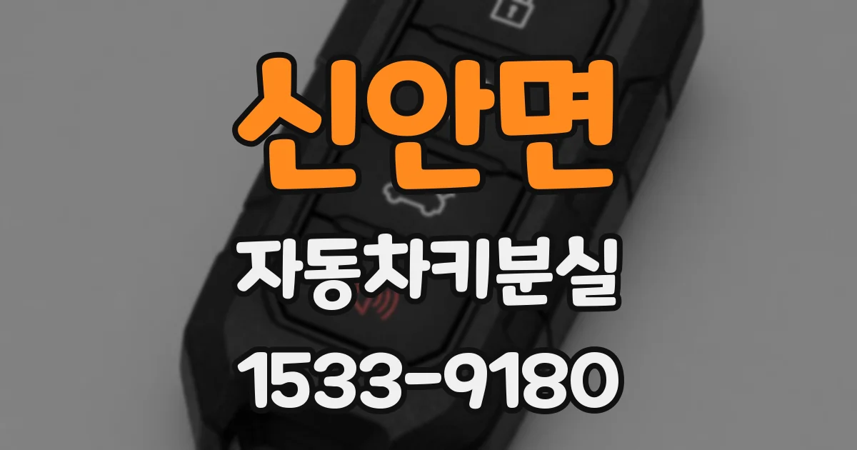 신안면 자동차키분실