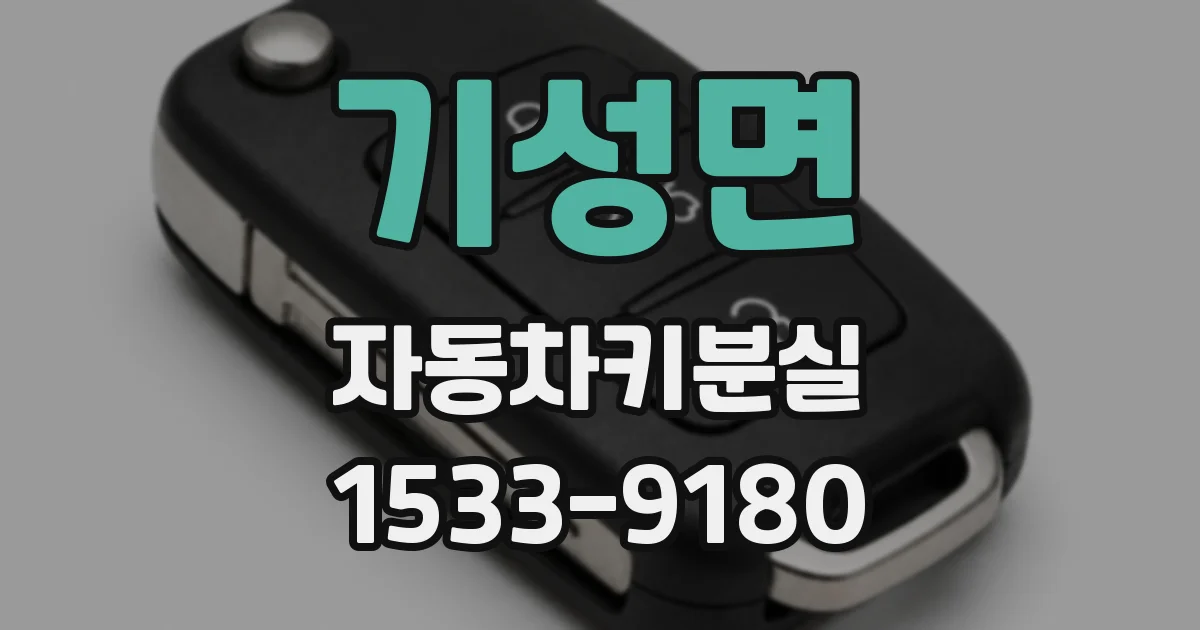 기성면 자동차키분실