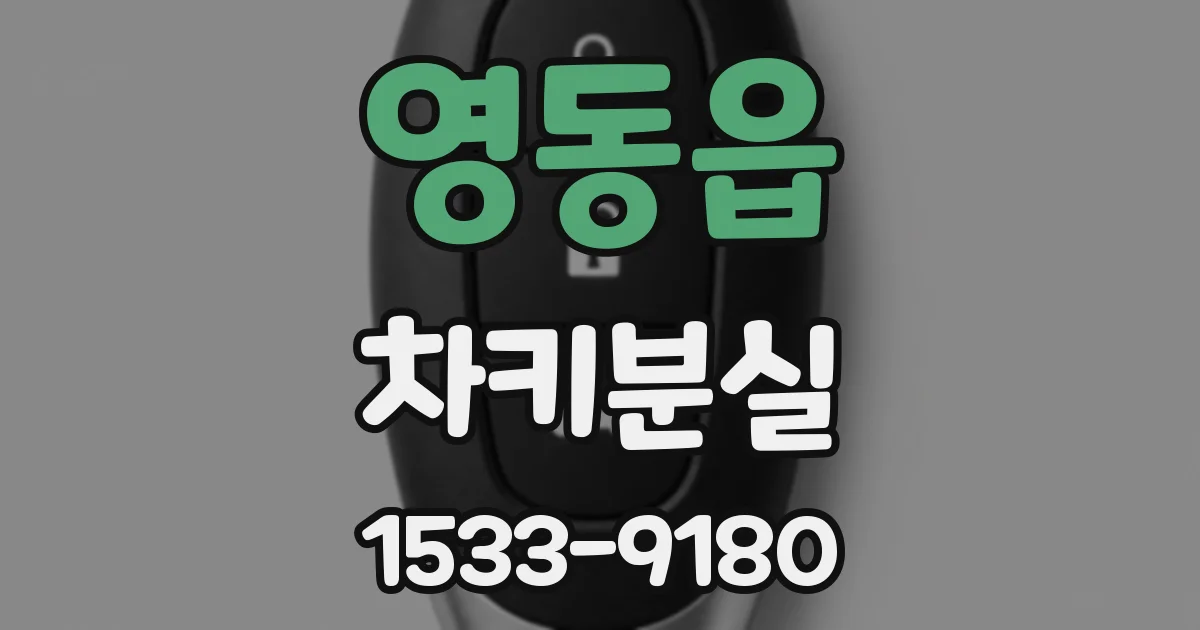 영동읍 차키분실