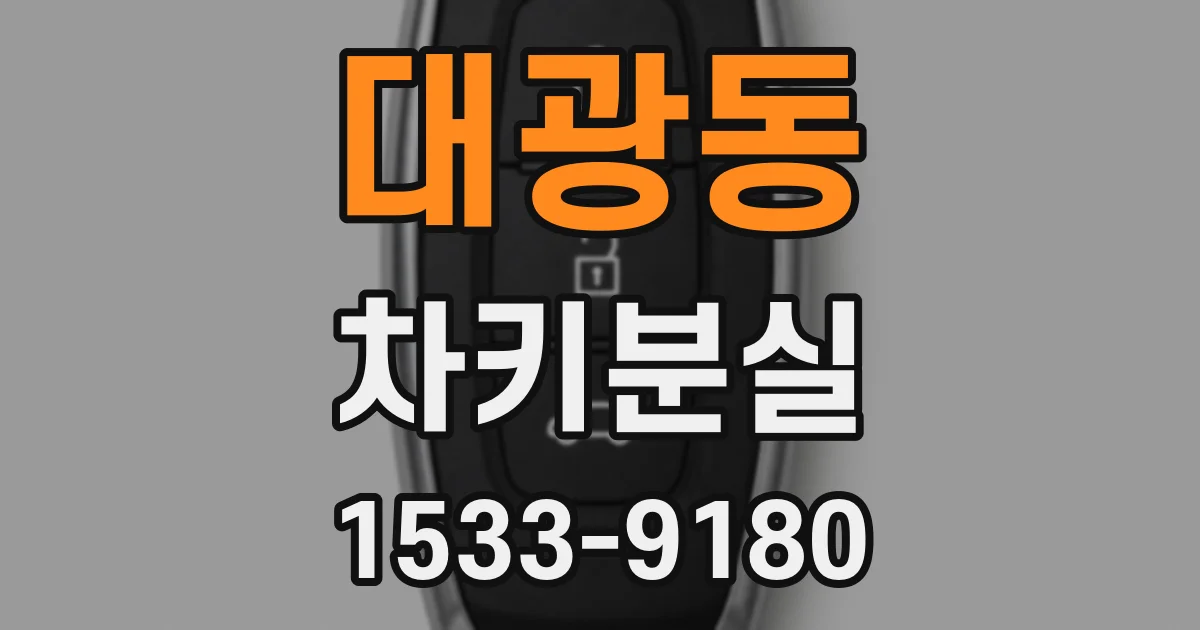 대광동 차키분실