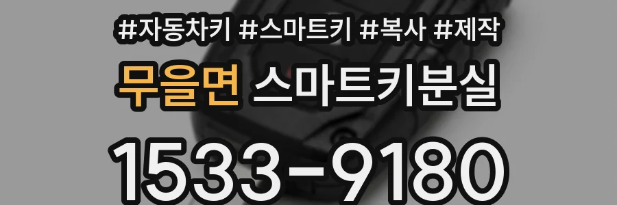 무을면 스마트키분실