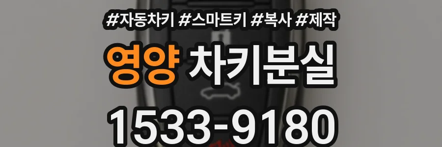 영양 차키분실