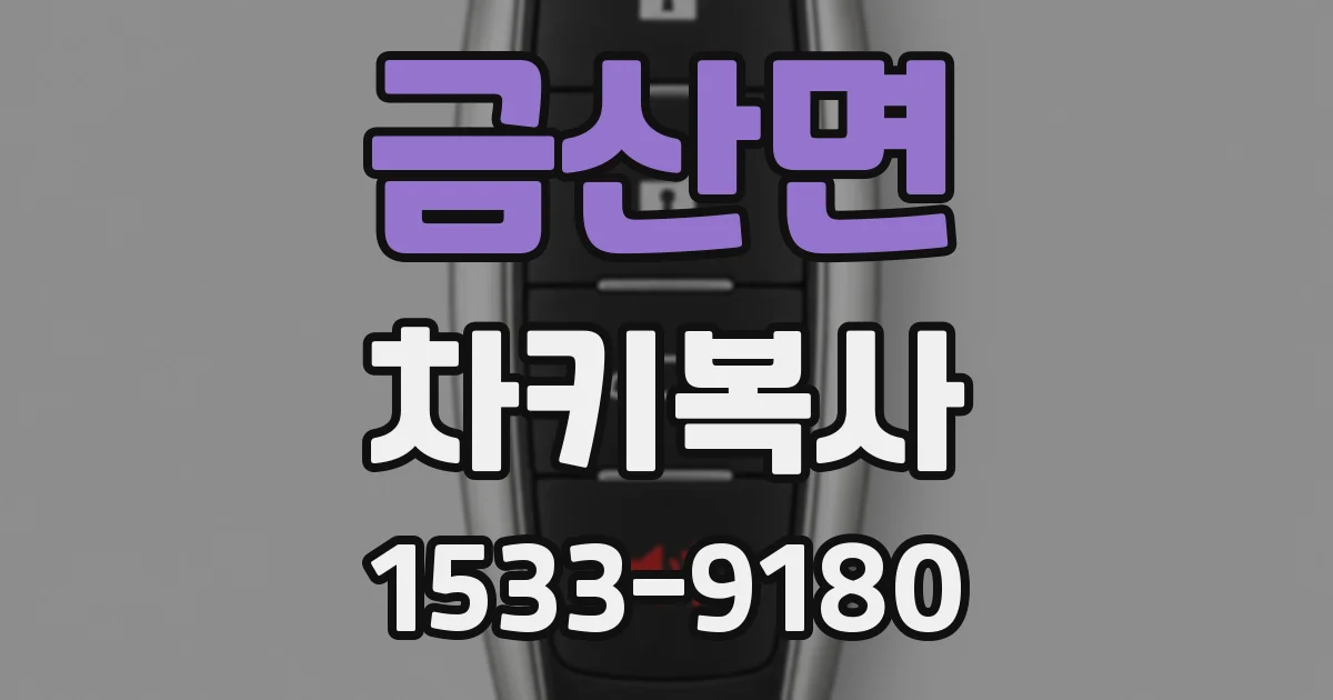 금산면 차키복사