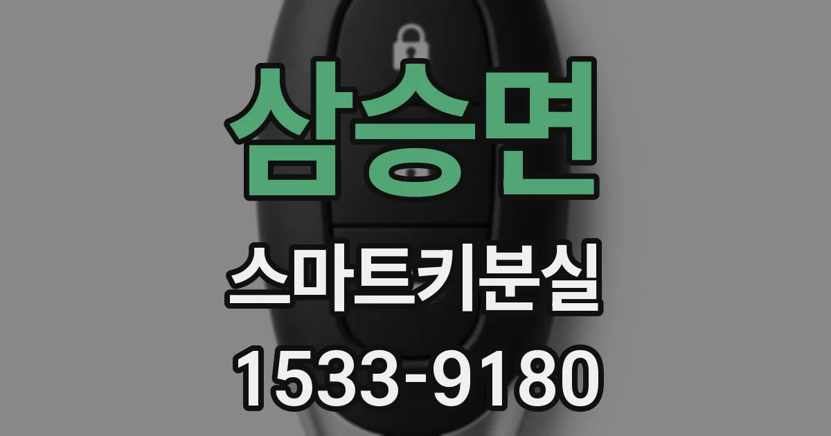 삼승면 스마트키분실