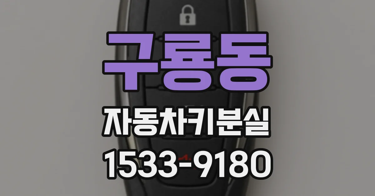 구룡동 자동차키분실