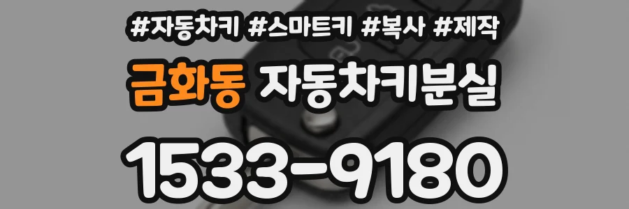 금화동 자동차키분실